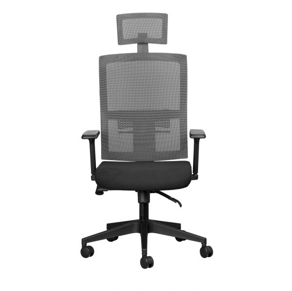 rio ergonomic office chair