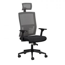 rio ergonomic office chair