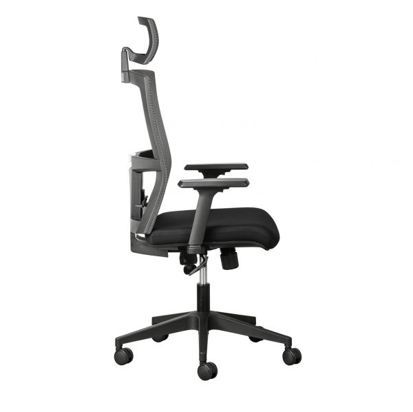 rio ergonomic chair