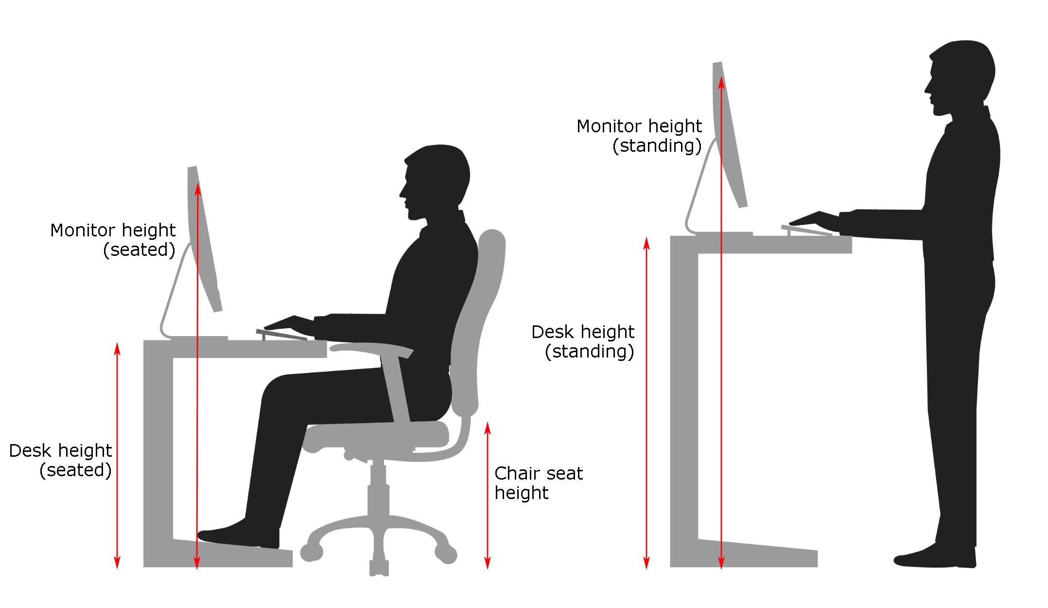 The correct height for your office chair - Wellback Ergonomic Chairs