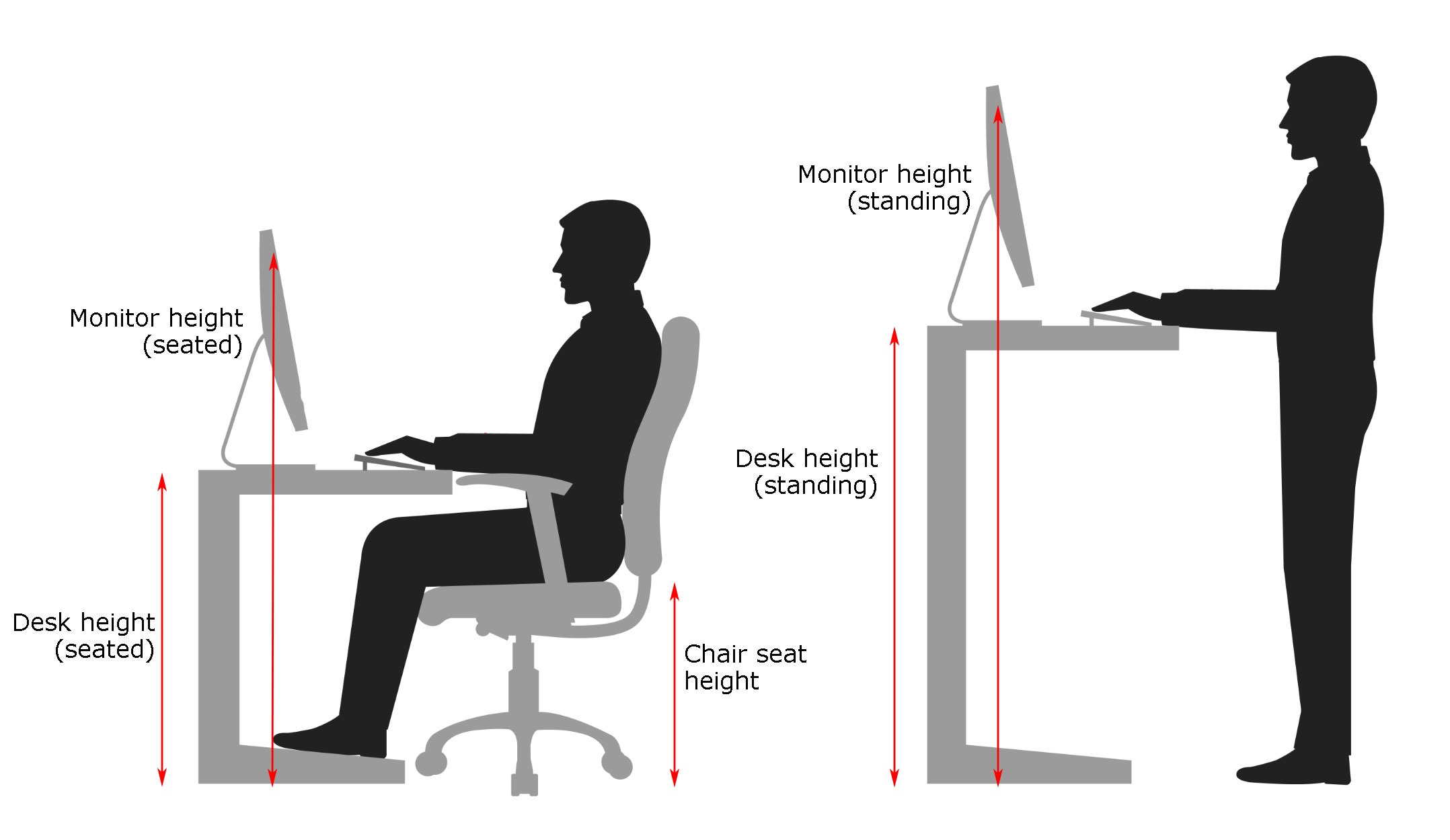 The correct height for your office chair Wellback Ergonomic Chairs