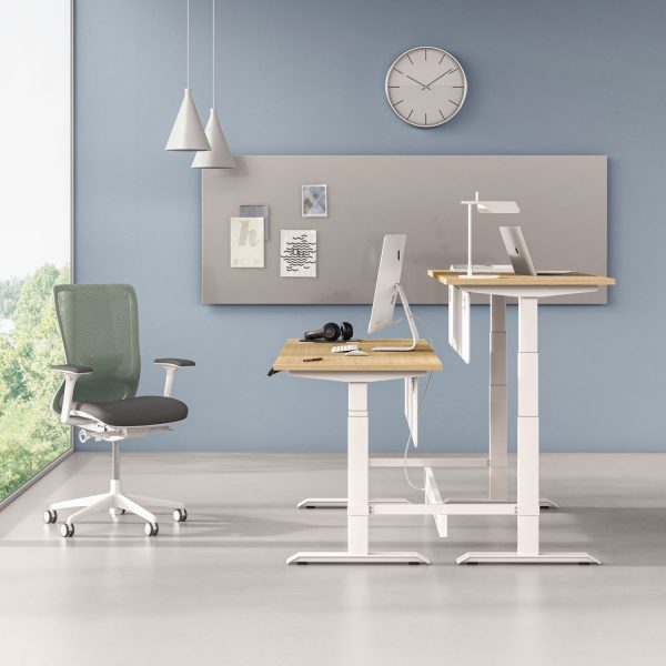 HiLo height adjustable electronic sit-stand desk