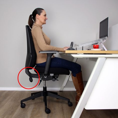 orthomax office chair back support adjustment