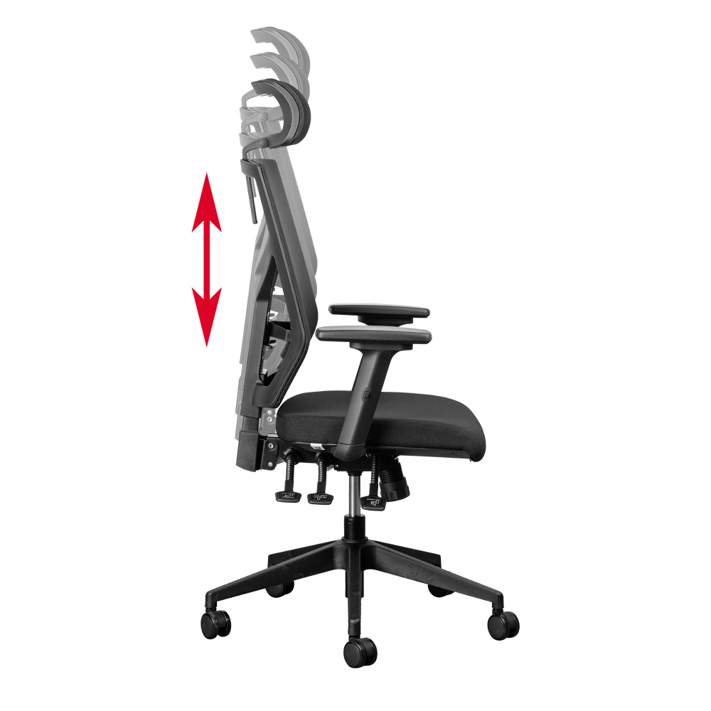 orthoair orthopedic office chair backrest height adjustment