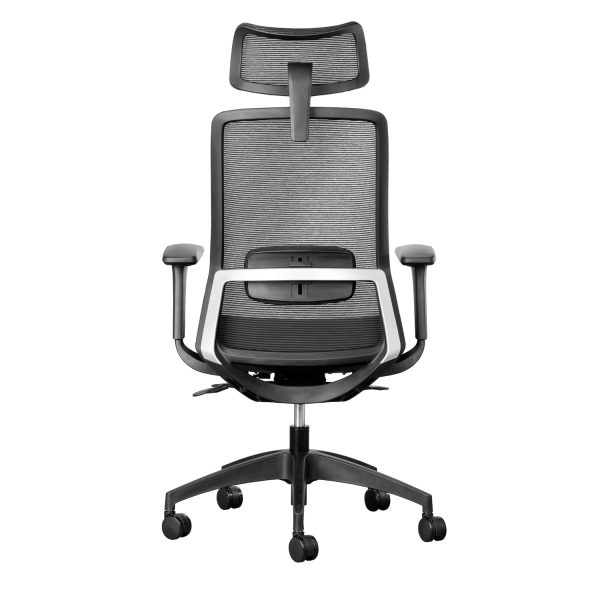 capri ergonomic office chair