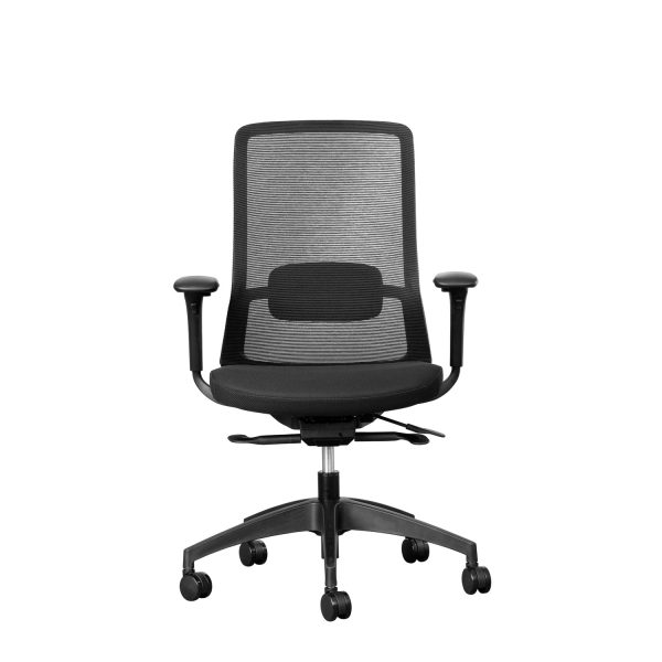capri ergonomic office chair