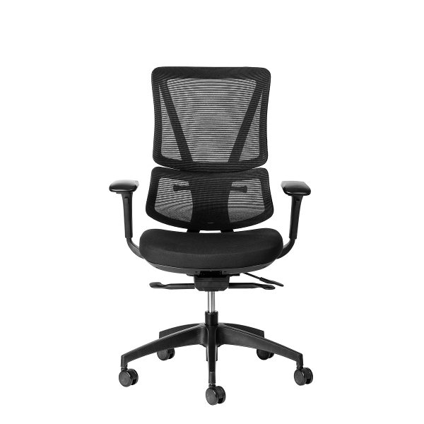 ergoback ergonomic chair