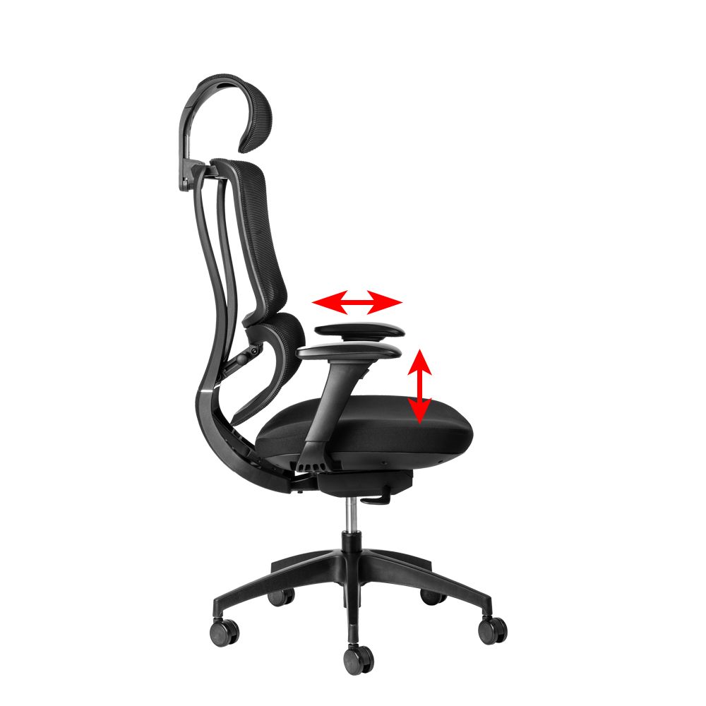 ergoback ergonomic chair