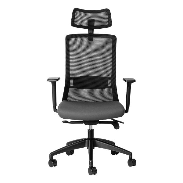 luna ergonomic chair